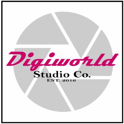 DigiWorld Studios Inc.