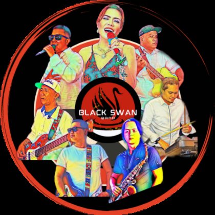 Black Swan Band Black Swan Band