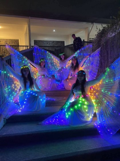 LED FAIRIES DANCER LED FAIRIES DANCER