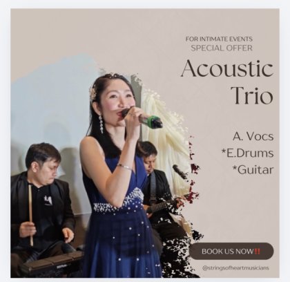 Acoustic Trio