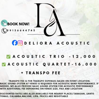 Acoustic Trio Band